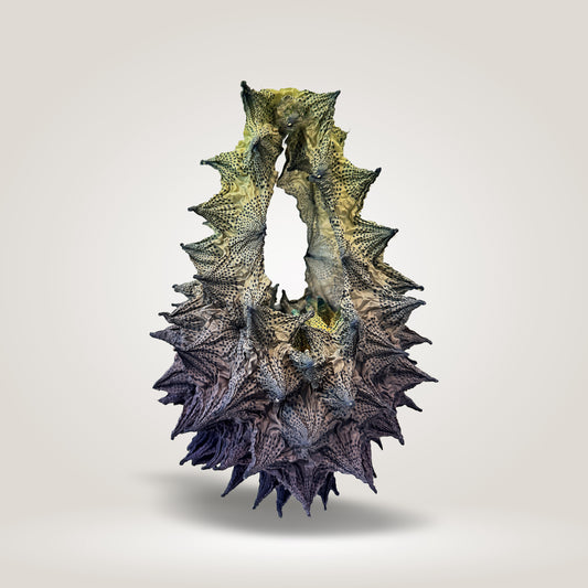 Aubergine Fugu Midi by Fuguku