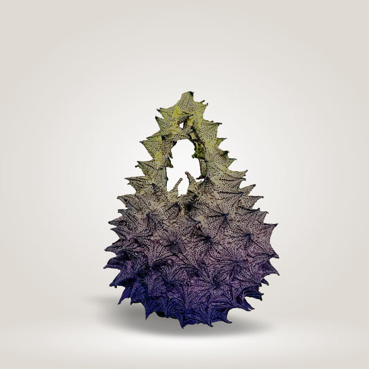 Aubergine Fugu Mini by Fuguku