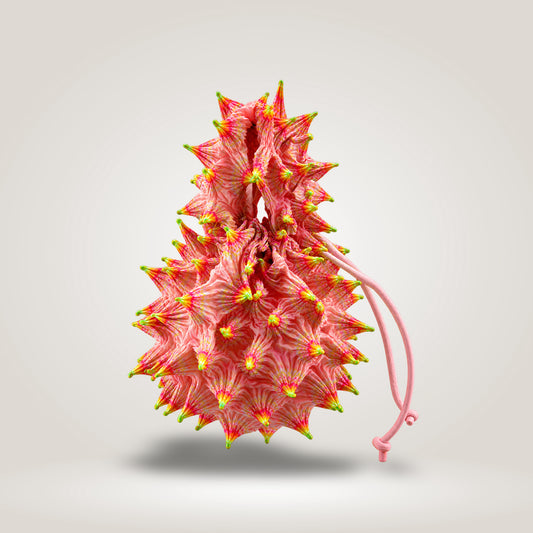 Fugukai Coral Blush Midi by Fuguku